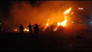 Hatay'da Milleyha Kuş Cenneti'nde yangın kontrol altına alındı