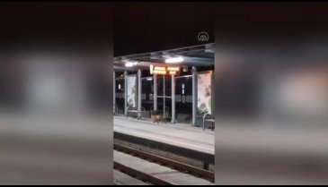 Samsun'da yiyecek arayan tilki tramvay durağında görüntülendi
