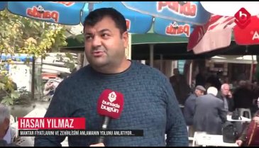 Bursa'da bu mantarları bilen var mı? Mantarın zehirli olup olmadığı nasıl anlaşılır?