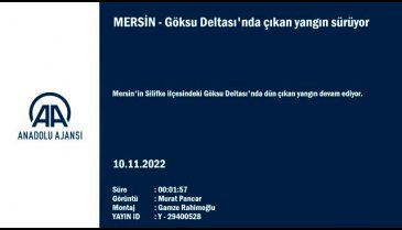 Mersin'deki Göksu Deltası'nda çıkan yangın devam ediyor