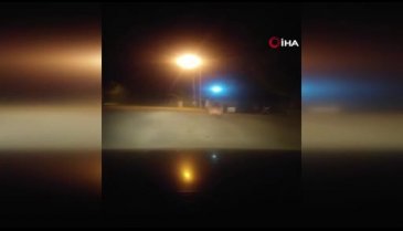 Artvin'de ayı merkeze indi