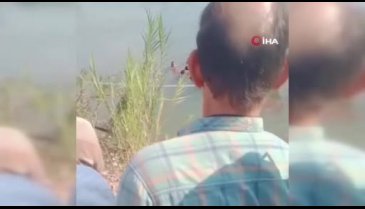 Mısır'da su kanalına düşen otobüste can kaybı yükseldi