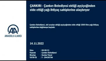 Çankırı Belediyesi ektiği ayçiçeğinden elde ettiği yağı ihtiyaç sahiplerine ulaştırıyor