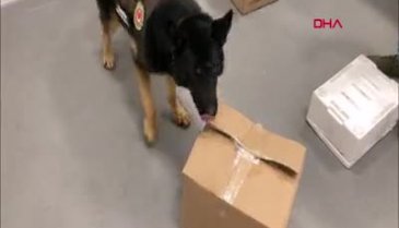 İstanbul Havalimanı'nda şüpheli kargodan 14 kilo 900 gram uyuşturucu çıktı