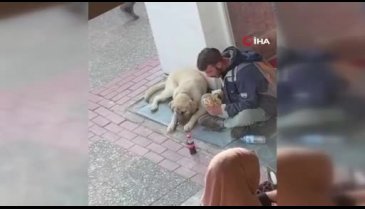Bursa'da yemeğini sokak köpeği ile paylaşan çocuk sosyal medyada beğeni aldı
