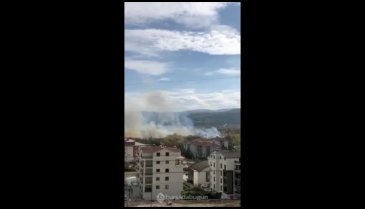 Bursa'da anız yangını