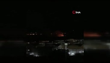 Bursa'da ormanlık alanda yangın