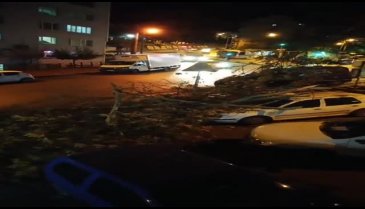 Bursa'da ağaç otomobillerin üzerine devrildi