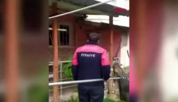 Yalova'da yavru kedi kömürlüğün çatısındaki tahta deliğe sıkıştı