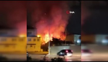 Bursa'da ağaçlık alanda yangın! Vatandaşlar müdahale etti