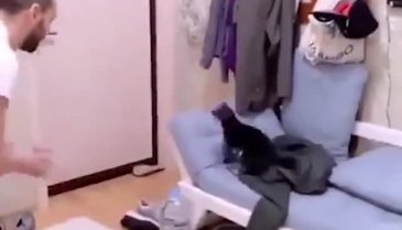 Sahibinin oyun oynadığı bu hayvan neye benziyor?