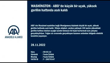 ABD'de bir uçak, yüksek gerilim hattında asılı kaldı