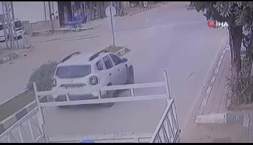 Adana'da sürücü köpeğin üzerinden geçti