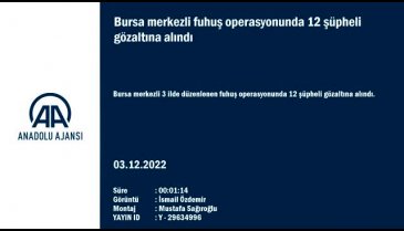 Bursa merkezli fuhuş operasyonunda 12 şüpheli gözaltına alındı