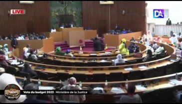 Senegal Meclisi'nde kadın vekil erkek vekile sandalye fırlattı