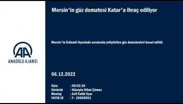 Mersin'in domatesi Katar'a ihraç ediliyor