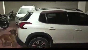 Bursa'da uyuşturucu operasyonunda 2 tutuklama