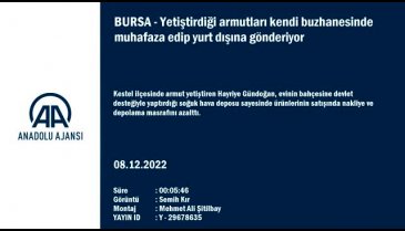 Bursa'da yetiştirdiği armutları kendi buzhanesinde muhafaza edip ihracat yapıyor