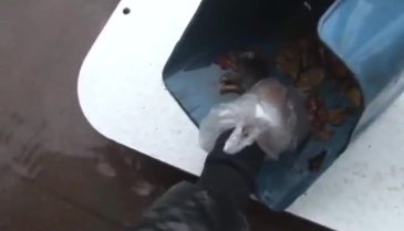 İzmir'de sağanak yağışta ölen lağım faresine kalp masajı