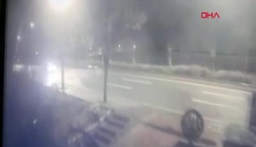 Ankara'da kaçak aslan panik yarattı
