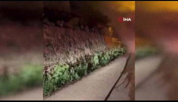 Bursa'da seyir halindeki otomobil alev aldı