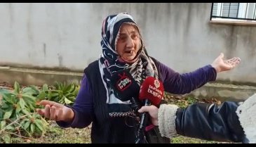 Bursa'da site bahçesindeki ağaçlar kesildi, bina sakinleri yöneticiye dava açtı!