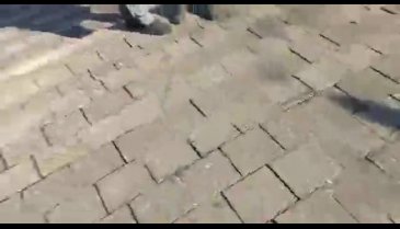 Tüm Emeklilerin Sendikası, Bursa'da basın açıklaması yaptı