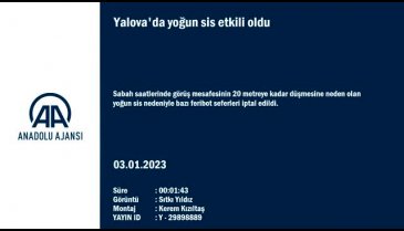 Yalova'da feribot seferlerine sis engeli