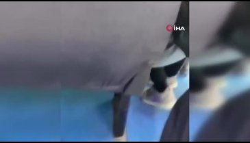 Adana'da yol verme kavgasında minibüs şoförü öldü