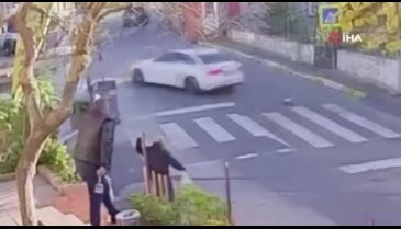 İstanbul'da vicdansız sürücü kediyi ezip kaçtı