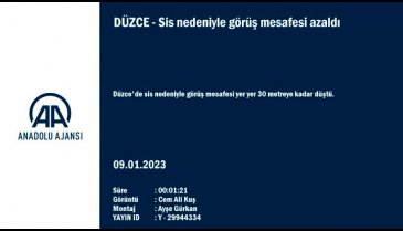 Düzce'de sis etkili oldu