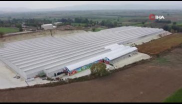 Bursa'da üretilen domateslerden almak için Avrupa sıra bekliyor