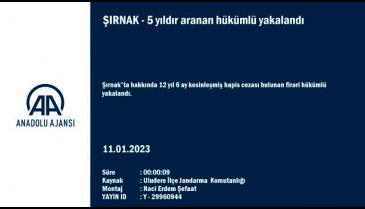 Şırnak'ta 5 yıldır aranan firari hükümlü yakalandı