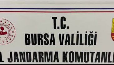 Bursa'da jandarmadan tarihi eser operasyonu&nbsp;