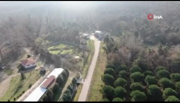 Bursa'da ayıların uykusu kışa rağmen gelmedi