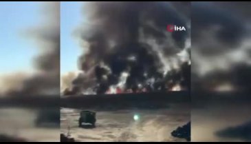 Bursa'da sazlık alanda korkutan yangın!
