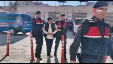 Bursa'da köpeği pompalı tüfekle öldüren şahıs yakalandı
