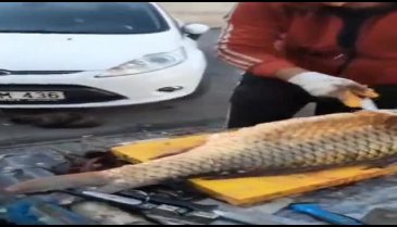 Burası Hindistan ya da Arap ülkesi değil... Türkiye!