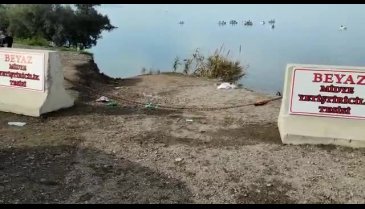 Bursa Gemlik'te midye çiftliği isyanı -2