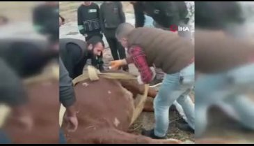 Bursa'da araç ata çarptı! Yaşatmak için zamanla yarıştılar