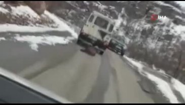 Tunceli'de vurdukları domuzu aracın arkasında sürüklediler