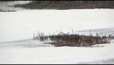 Bursa'da çevre felaketi