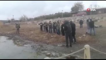 Bursa'da 60 ördek özgürlüğüne kavuştu