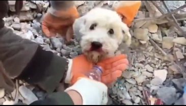 60. saate mucizevi kurtuluş! Sabırla bekledi