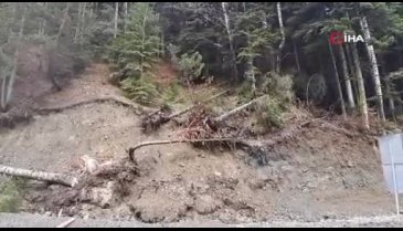Bolu Abant'ta eriyen karlar heyelana neden oldu