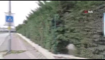 Bursa'da küçük Lara, beden eğitimi dersinde rahatsızlanarak hayatını kaybetti
