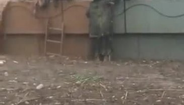 Şanlıurfa kabusu yaşıyor!