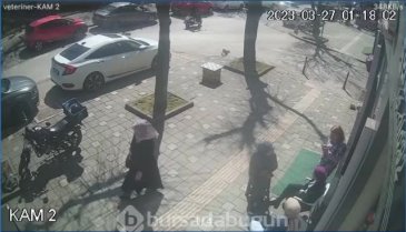 Bursa'da yaralı kedi kendi imkanları ile veteriner kliniğine gitti