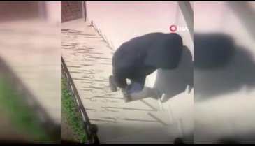 Bursa'da hırsız çaldığı ayakkabının yerine kendi ayakkabılarını bıraktı
