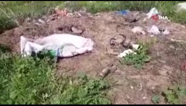Osmaniye'de ağzı bağlı çuvalda 11 yavru köpek bulundu